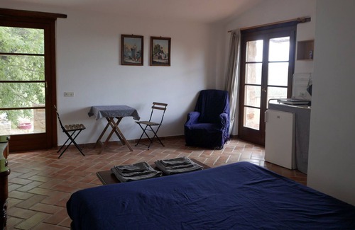 Seggiano House | Apartment with double bed, bathroom, small kitchen and large terrace.