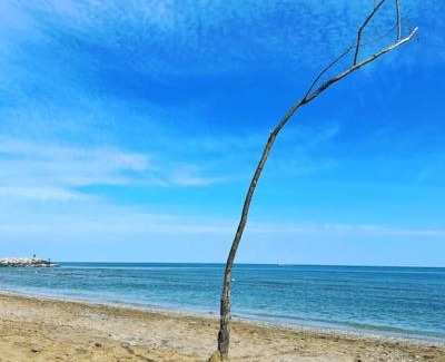Mazzorno Sinistro Apartment | Apartment with Pool in Cavalino Jesolo