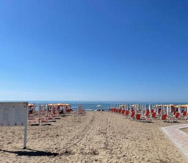 Mazzorno Sinistro Apartment | Apartment with Pool in Cavalino Jesolo