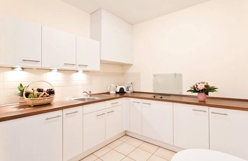 Innere Altstadt Apartment | Apartment with kitchen and bathroom