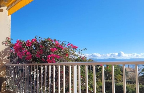 Ajaccio Apartment | Apartment with large terrace and sea view 90 m2 Pets allowed