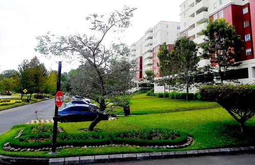 Zona 16 Apartment | Apartment with nature and city
