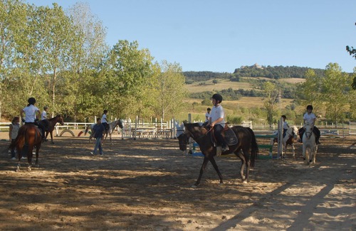 Montoro Other | APARTMENT WITH POOL IN UMBRIA AND HANDLING