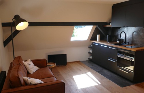 Rinken Apartment | Apartment Wolf, a retreat below the Feldberg summit!