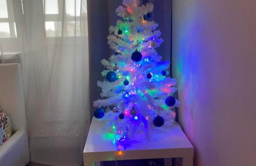Gagarinskoe Apartment | Apartment ZK Zvezdniy