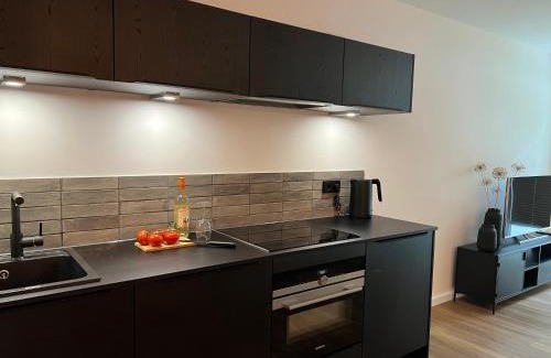 Stade Apartment | Apartmenthaus Stade Schwingewiesen Apartment 1