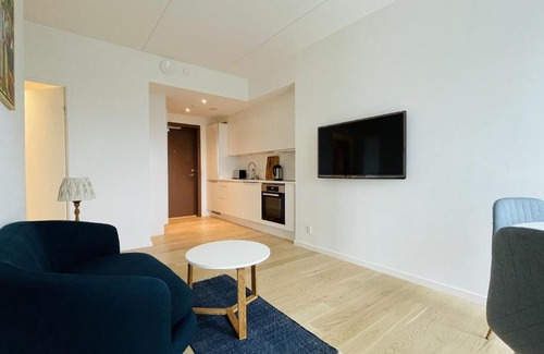 Vesterbro Apartment | ApartmentInCopenhagen Apartment 1527