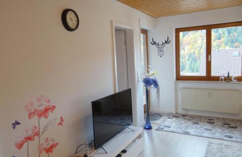 Todtmoos Apartment | Apartments Amalia - mit WLAN und Sky in traumhafter Lage