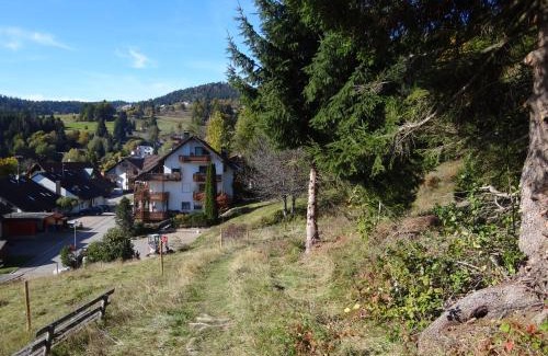 Todtmoos Apartment | Apartments Amalia - mit WLAN und Sky in traumhafter Lage