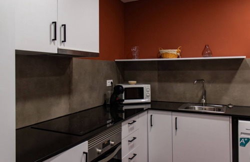 El Poble-sec Apartment | APARTMENTS BCN CENTRAL-COLON