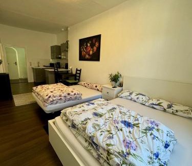 Oschatz Apartment | Apartments Oschatz