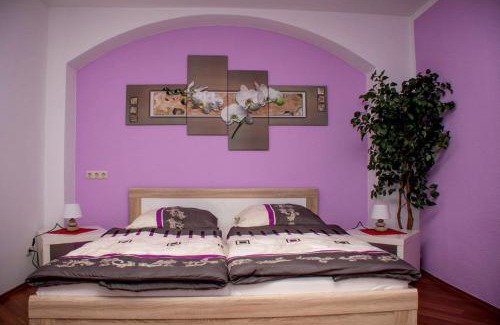Striesen Apartment | Apartments Stirl
