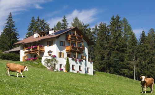 Castelrotto Apartment | Apartments Stroblhof