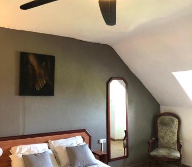 Saint-Philbert-de-Grand-Lieu Apartment | Appartement - LES COMBLES DU CHATEAU - Avec vue sur le lac - POUR 2 à 4 PERSONNES