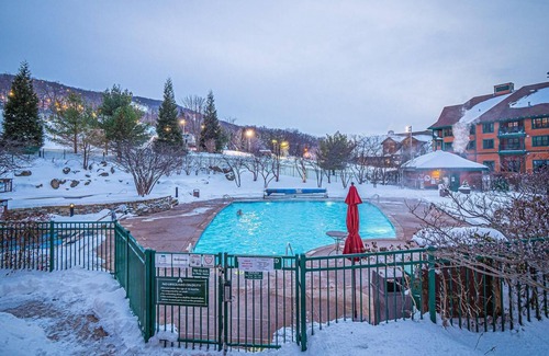 Vernon Condo | Appalachian @ Mtn Creek Pool Hot Tubs Sauna Gym Deck Mtn Front #246