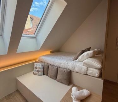 Neuchatel Apartment | Apparemment in the center of Neuchâtel Serenity