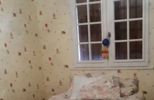 Mulhouse Apartment | Apparently Mulhouse