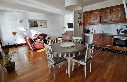 Bourgogne Apartment | Appart Gîte Les Oiseaux- face Loire Quai du Châtelet