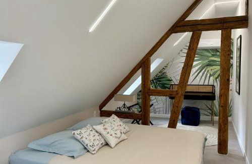 Saint Joseph/Mittelharth Apartment | Appart Saint Jo