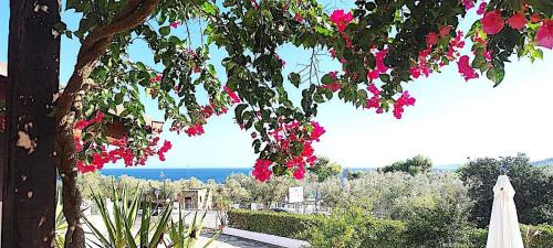 Santa Cesarea Terme Apartment | Appartamenti FRANCIS sul mare