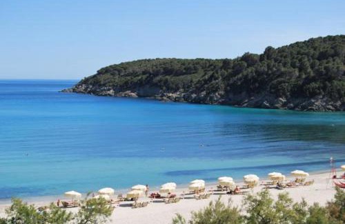 Fetovaia Apartment | Appartamenti Fetovaia Orchidea