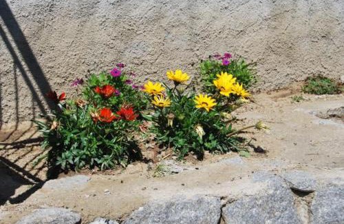 Fetovaia Apartment | Appartamenti Fetovaia Orchidea