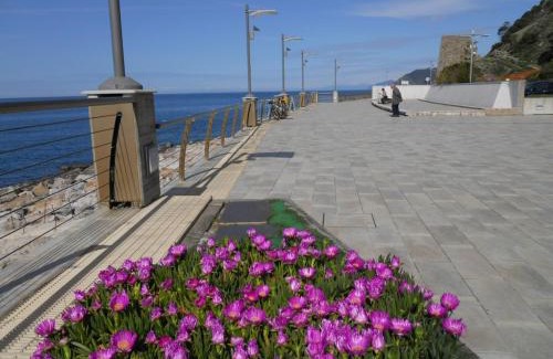 Deiva Marina Apartment | Appartamenti In Piazzetta