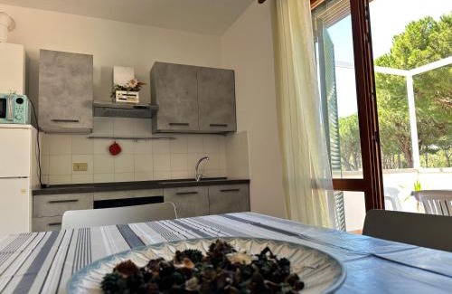Marina di Bibbona House | Appartamenti vacanze Aragosta