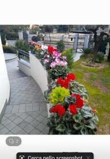 Sabaudia Apartment | Appartamento al primo piano GRAZIA