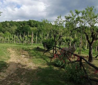 Figline e Incisa Valdarno Apartment | Appartamento Bellosguardo