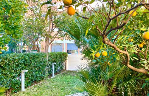 San Vincenzo Apartment | Appartamento Bonny
