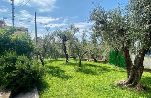 Castelnuovo Magra Apartment | Appartamento Cá Medé