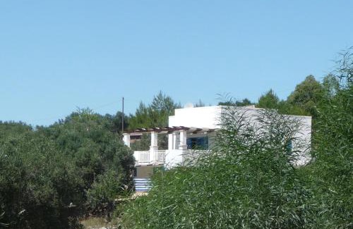 Marina di Pescoluse House | Appartamento Casa dell'Olivo