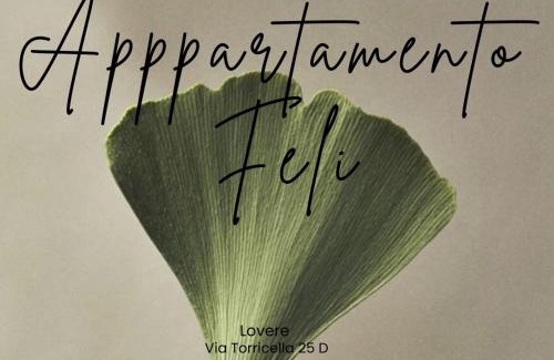 Lovere Apartment | Appartamento Feli
