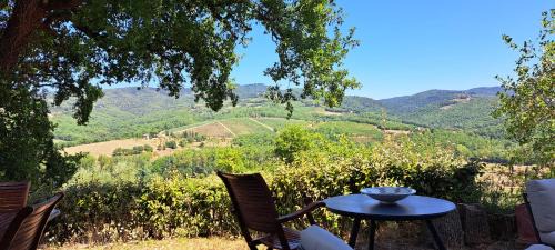 Radda in Chianti Apartment | Appartamento Holly House