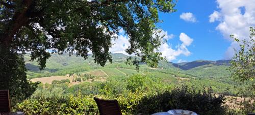 Radda in Chianti Apartment | Appartamento Holly House