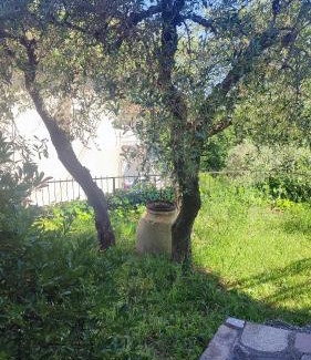 Fosdinovo Apartment | Appartamento il Giardino