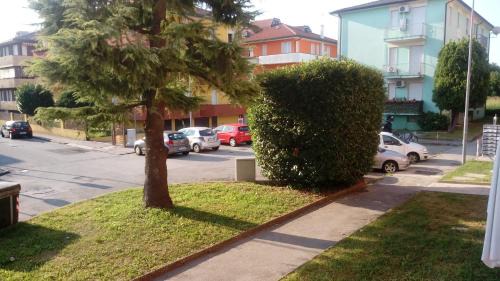 Padova Apartment | Appartamento Intero Bilocale Vicino all'ospedale