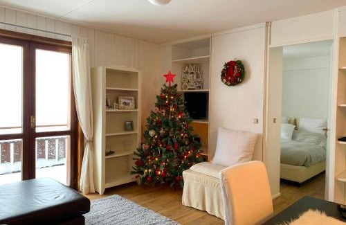 San Pellegrino Pass Apartment | Appartamento San Pellegrino