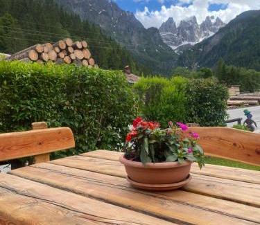 Pie Falcade Apartment | Appartamento Madama
