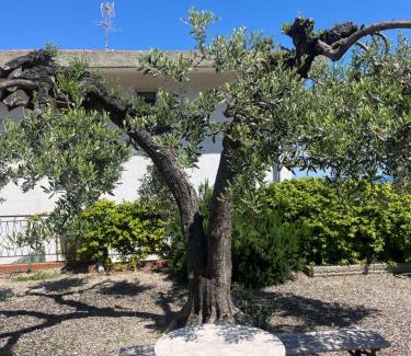 Laigueglia Apartment | Appartamento Nena