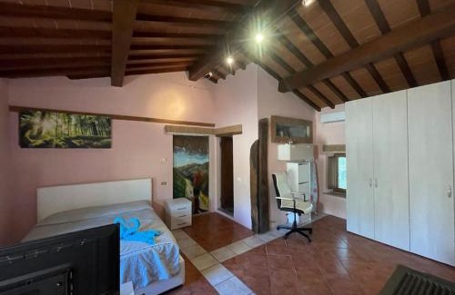 Pontassieve House | Appartamento Patina di sotto