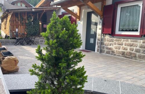 Varena Apartment | Appartamento Pineta casa vacanze Sci & Natura