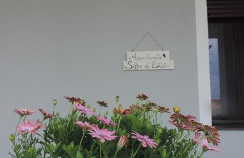 Coccorino Apartment | Appartamento Soffio d'Estate