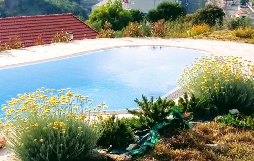 Riva Trigoso Apartment | Appartamento Taggiasca con piscina - Riva Trigoso