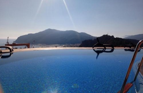 Riva Trigoso Apartment | Appartamento Taggiasca con piscina - Riva Trigoso