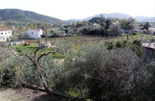 Jerzu Apartment | Appartamento titina