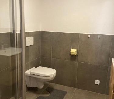 Hollersbach im Pinzgau Apartment | Appartement Stefanie