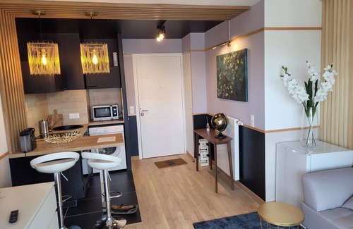 Les Puces de Saint-Ouen Apartment | Appartement Entier Deluxe, Quartier des Antiquaires, Porte de Montmartre