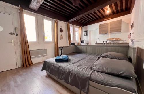 Besancon Old Town Apartment | Appartement 2 prsn Au pied de la Citadelle